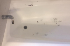 St Charles Tub Refinish - Before