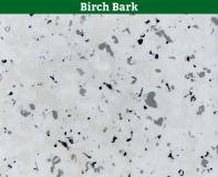 Birch Bark