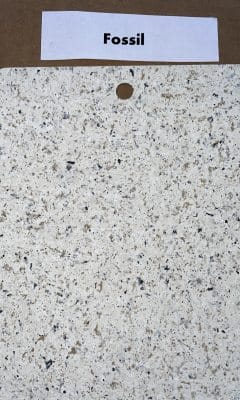 fossil