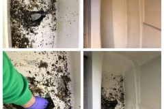 Fiberglass Tub Refinish Before And After