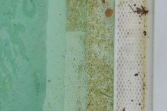 Best Fiberglass Pool Step Repair St. Charles